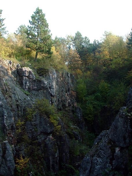 Úrkút határában található a Csárda-hegyi Őskarszt