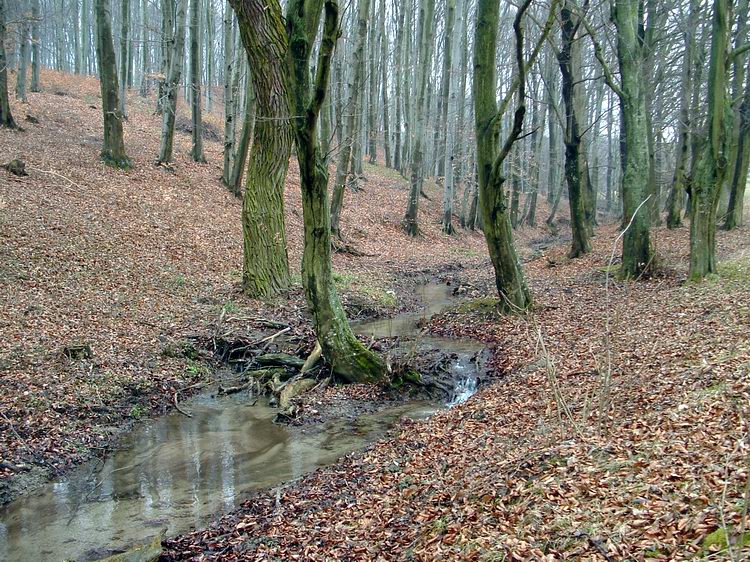 Nevenincs patakocskát kereszteztem lenn a völgy alján