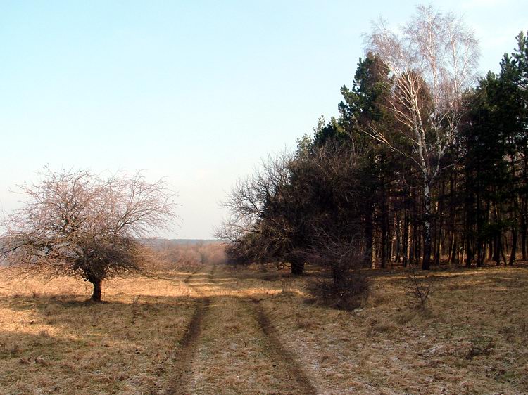 Mezők szélén vezető keréknyomokon