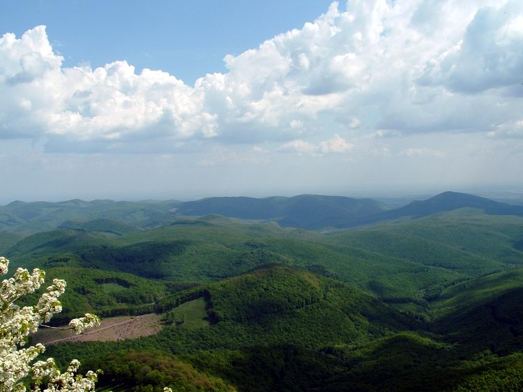 Kilátás a Tar-kőről 1.