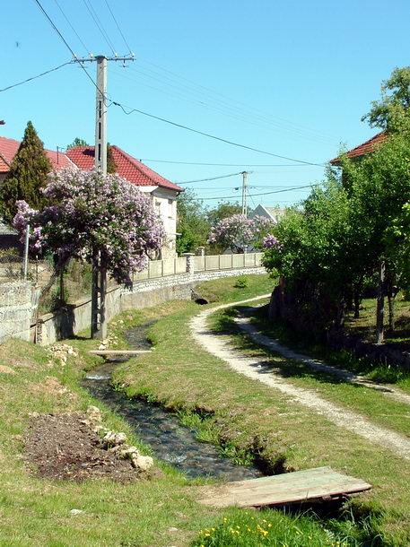 Kis patak fut végig a mályinkai Dózsa György utcán