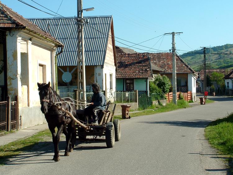 A Serényi Béla utcát szegélyezi a putnoki cigánysor