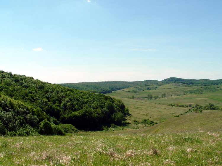 Kilátás a Karu fészke-tetőről