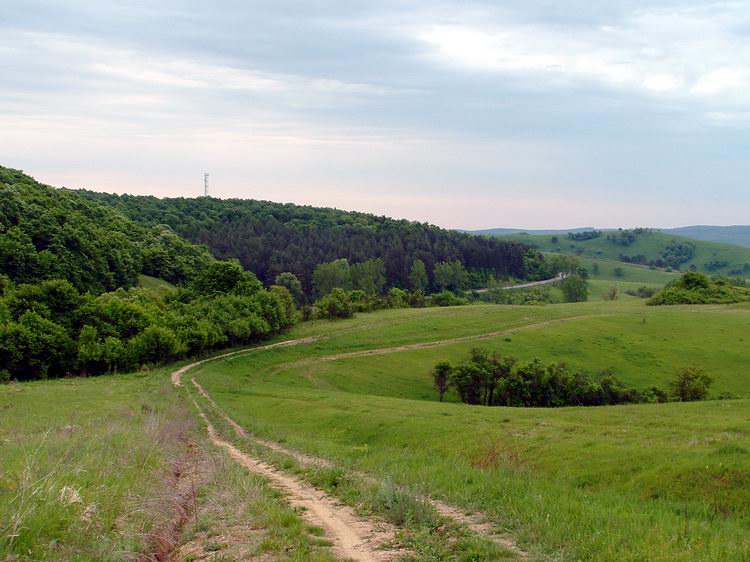 Visszapillantás a keréknyomokra, amiken felkapaszkodtam a dombra. A szerpentinező országút már mélyen alattam van.