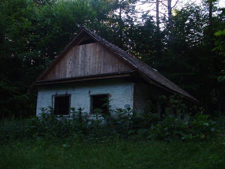A már régóta lakatlan Szabó-pallag erdészház