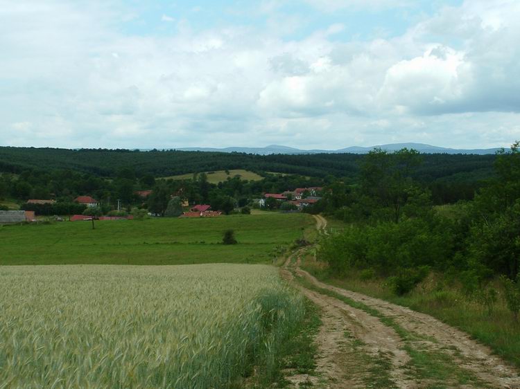 A Barakonyi-hegyen. Visszatekintés Tornabarakonyra.