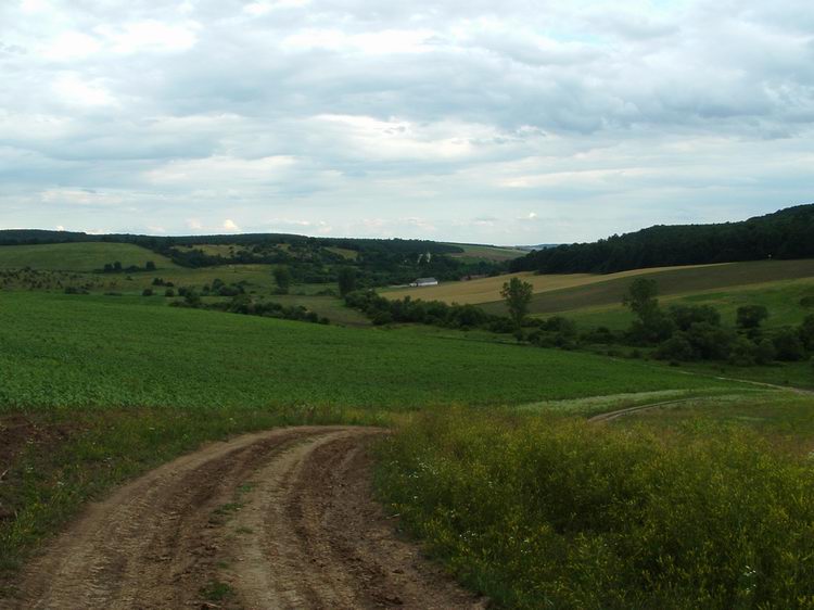 A távolban feltűnt Irota