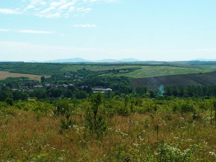 Weedy, bushy are above the village without any path