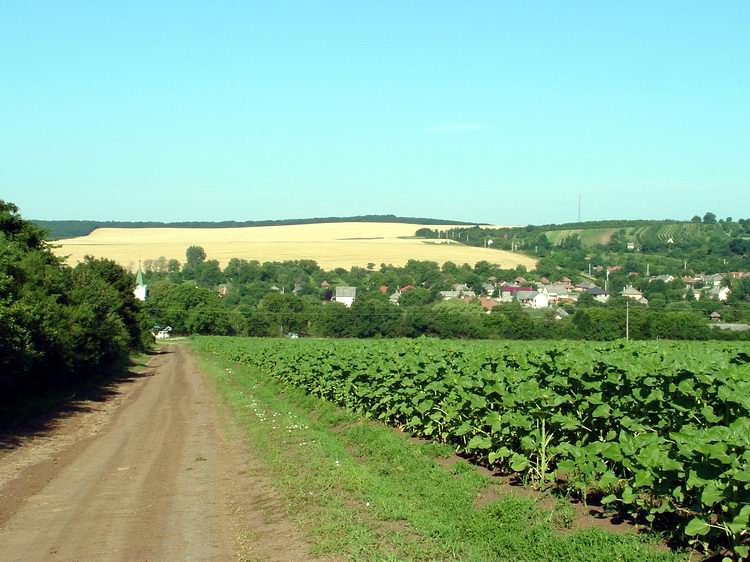 The view of Fancsal from the next hillside