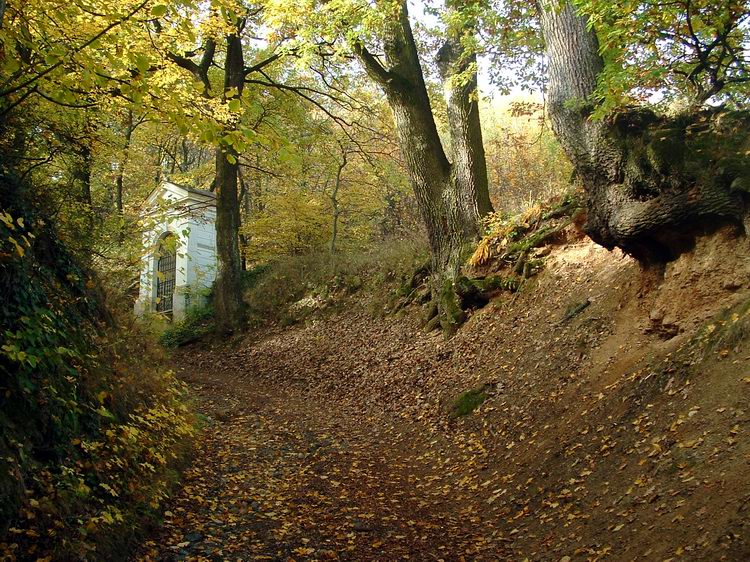 Kőszeg - Kapaszkodás a Kálváriatemplomhoz