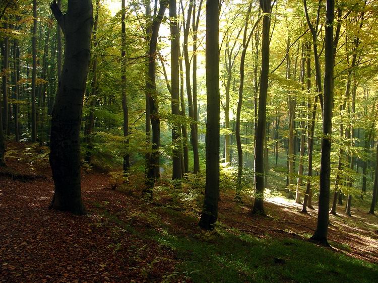 Turistaúton a Hét-forrás felé