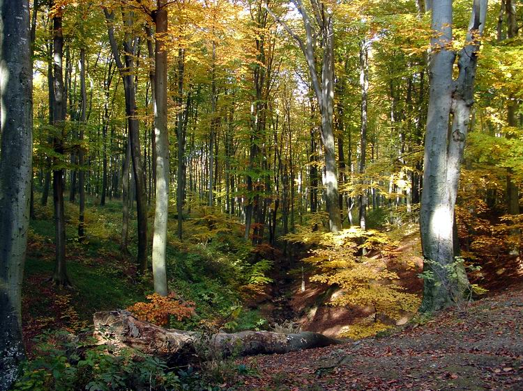A Hét-forrás völgye
