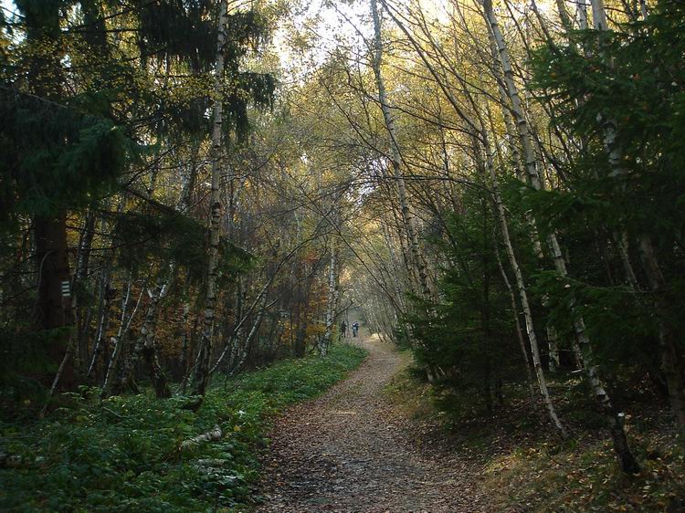 Írott-kő - Lefelé az alkonyatban a turistaúton