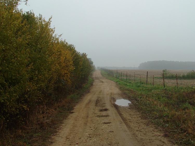 Kincsédpuszta után nekiindultam a mezőknek. Itt még széles, jól kitaposott földúton haladtam.