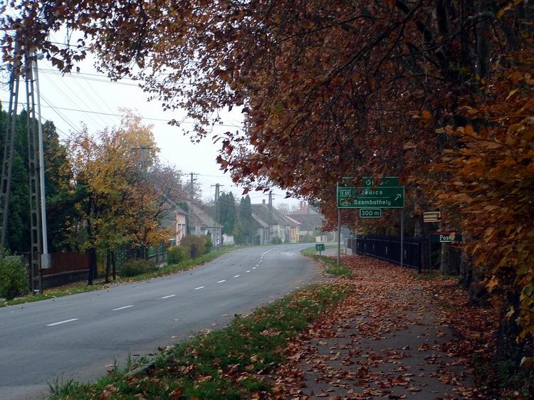 Szeleste - Most kong az ürességtől a nagy forgalomra méretezett főutca