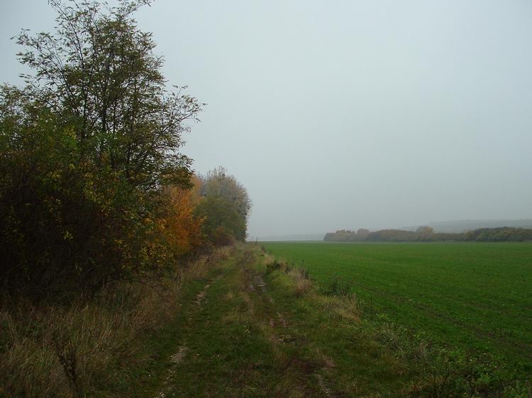 Mezők szélén a vasútállomás után