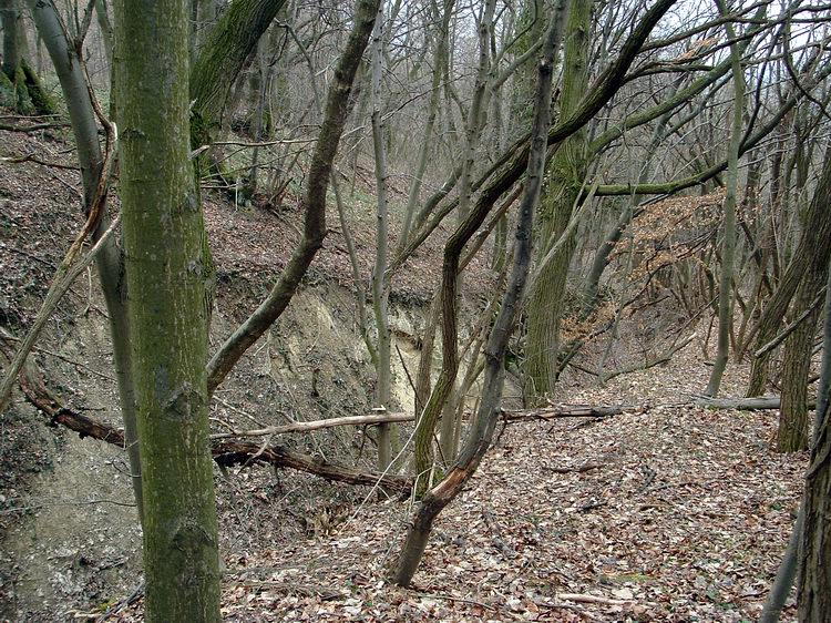 Ereszkedés a szurdok mellett a Gyöngyösi csárda felé