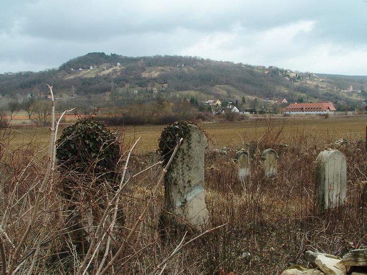A régi zsidó temető sírköveitől még látszik az Almási-domb