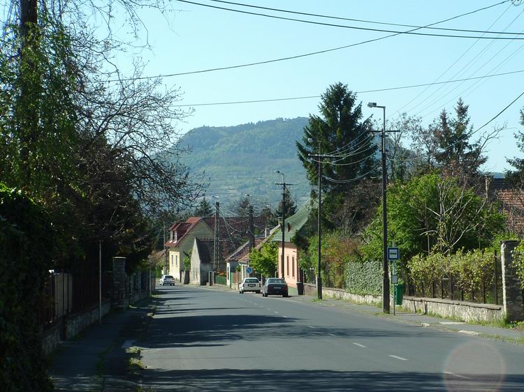 Az Arany János utcán végigpillantva már látszik előttünk a Szent György-hegy