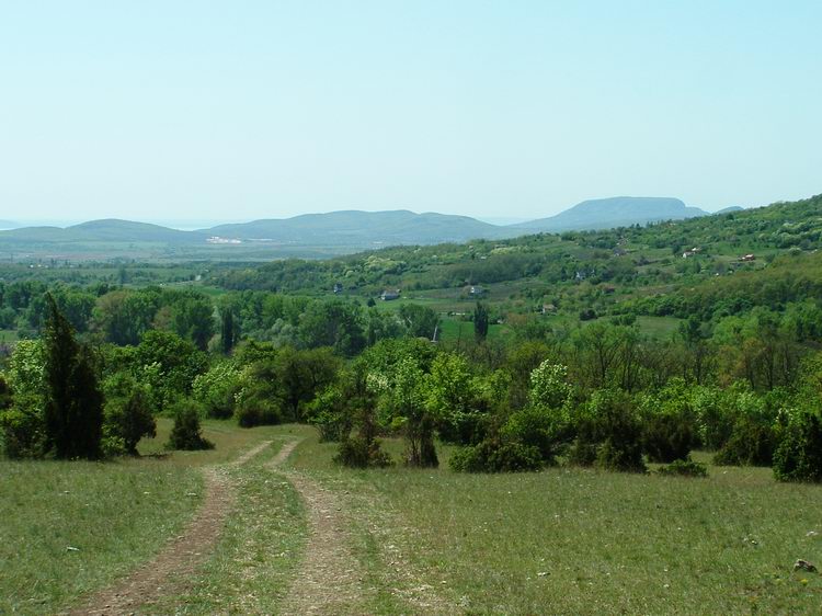 Egy utolsó pillantás a Badacsonyra