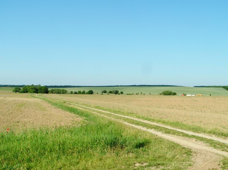 Az erdő után ismét kiértem a mezőkre