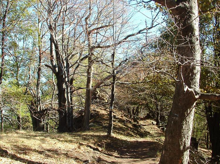 Turistaút a Mátra-gerincen