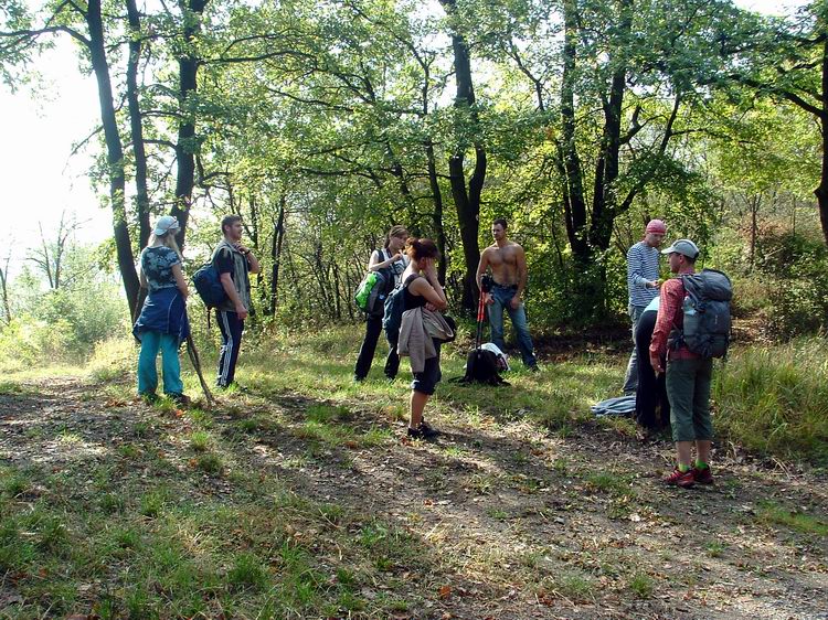 Egy utolsó pihenő a Szilas-tető gerincén