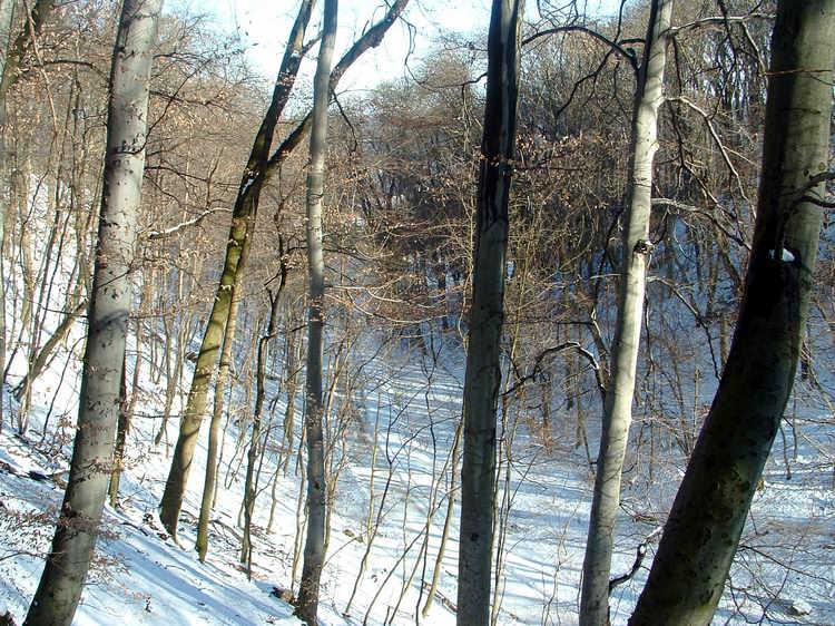 Letekintés a kegyhelytől a völgyben vezető útra