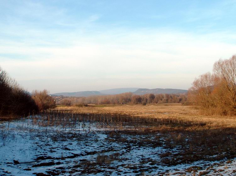 Kilátás a mezőről a Gerecsére