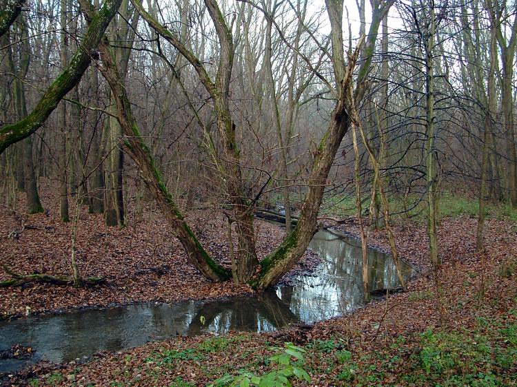 Keresztezetem a Tarjáni-malompatakot egy kőhídon