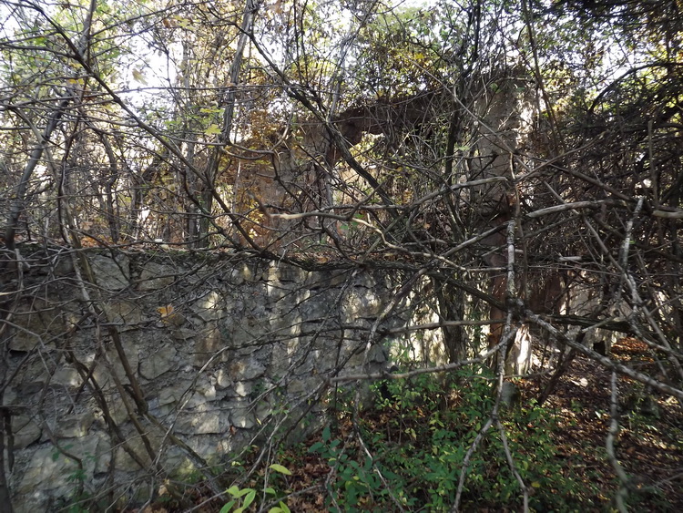 A zsíroshegyi turistaház romjait már benőtte az erdő