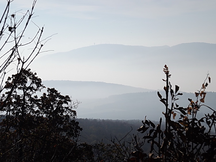 Kilátás a Kevély oldalából a ködös Solymári-völgyre