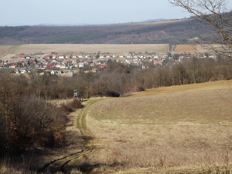 Ereszkedés Felsőpetény felé. A magaslesnél kell majd letérni a jól járható útról