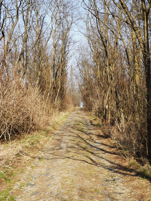 A Kisecsetre menő makadámúton