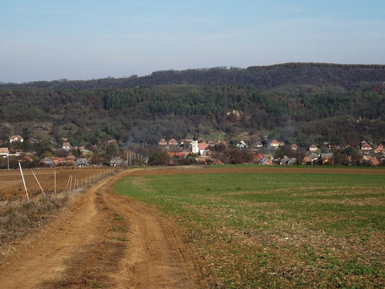 Mezei földúton Terény felé