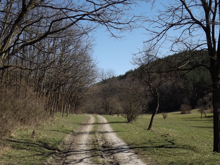 A Szálláska-völgy földútján