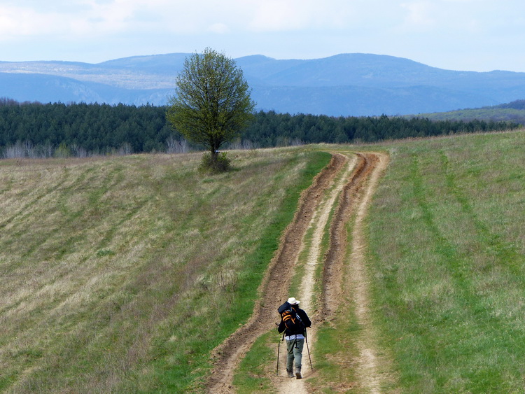 Keréknyomokon a Barakonyi-hegy hátán