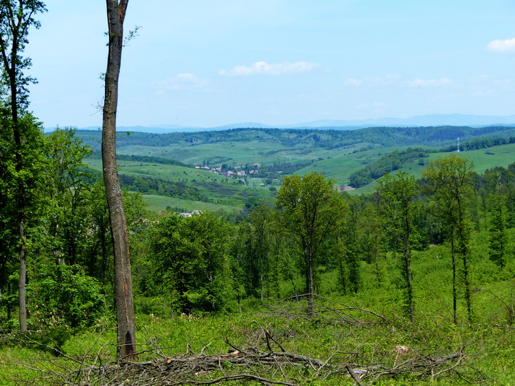 Panoráma Kelemér és Gömörszőlős felé az irtásfolt tetejéről