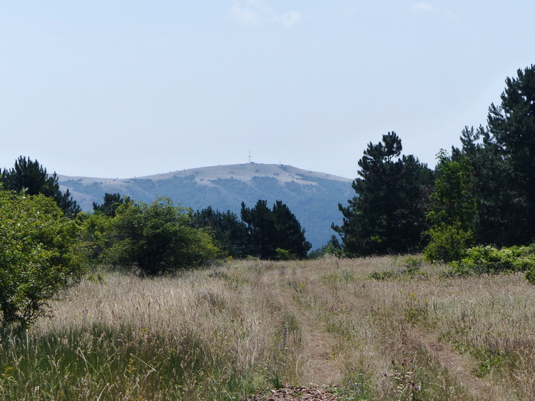 A távolban feltűnt a kopasz tetejű Baglyas-hegy