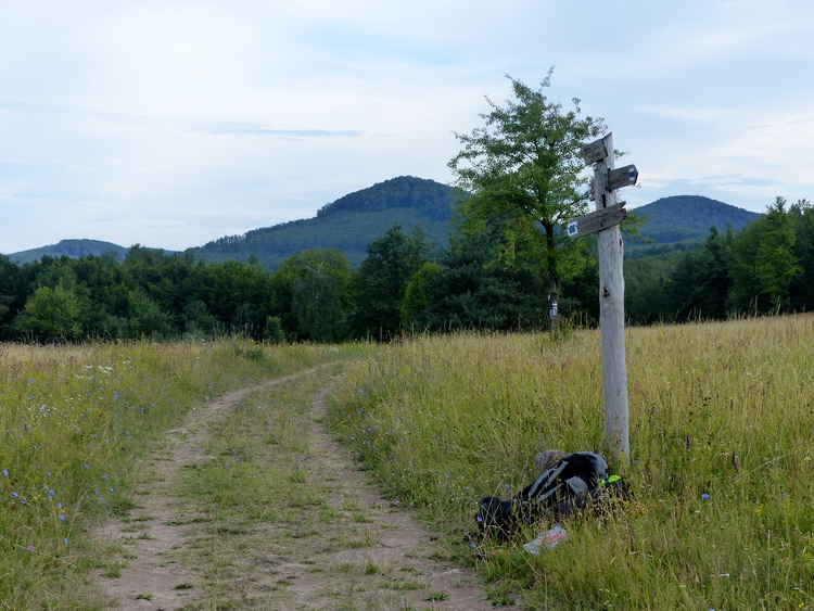 Pihenő az útelágazás táblája alatt