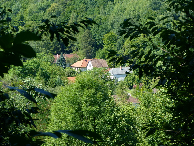 Kilátás a dombtető fái között Nagyhutára