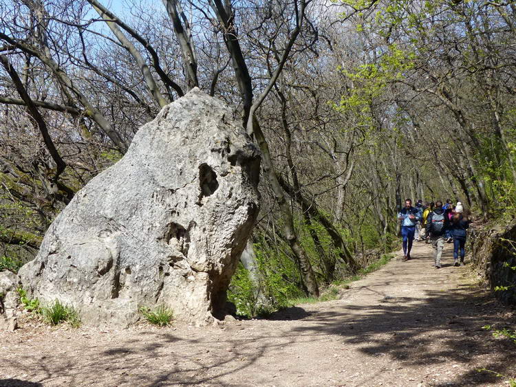 A Glück Frigyes sétány mellett áll az Oroszlán-szikla